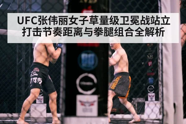MMA octagon cage fight